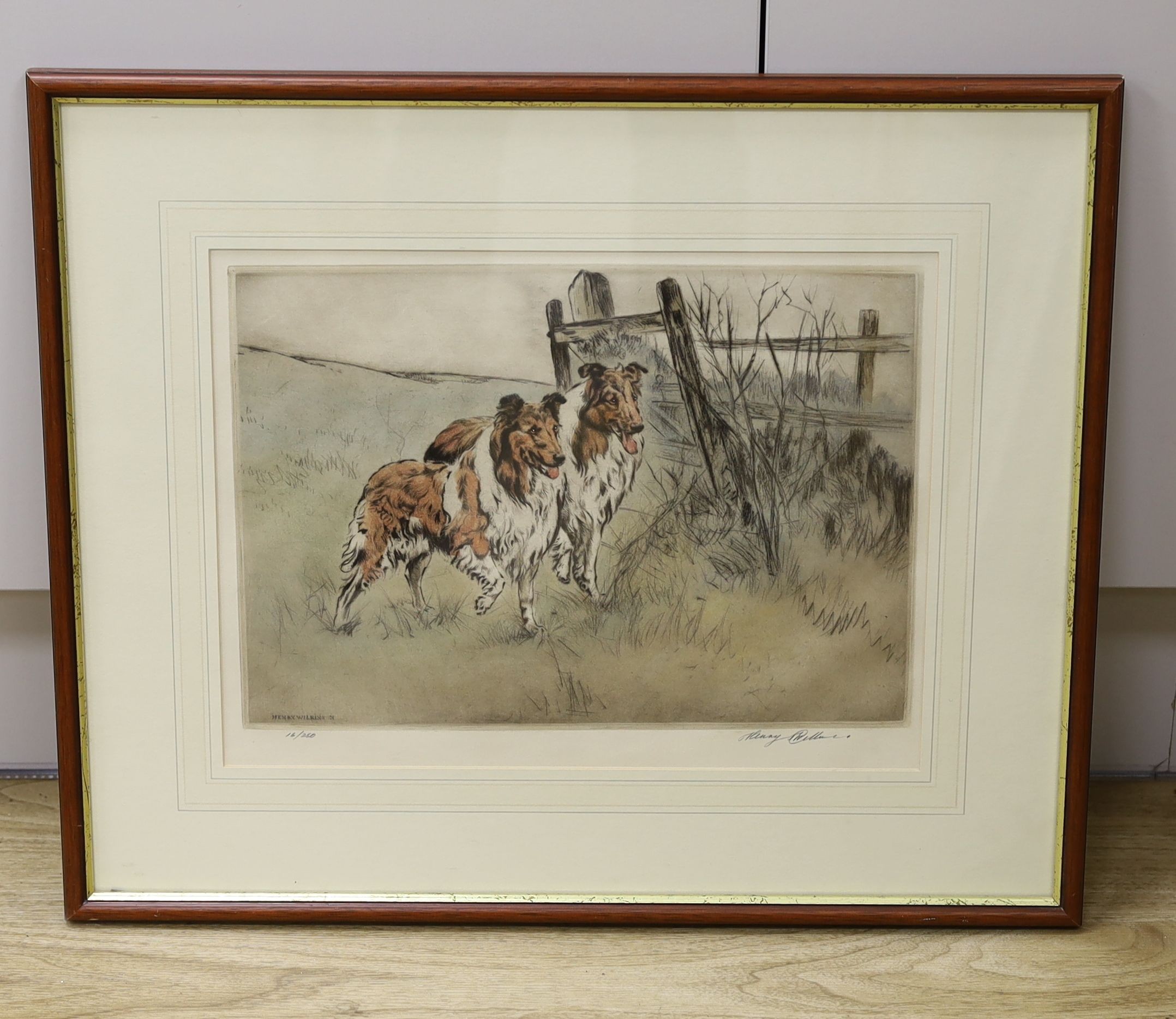 Henry Wilkinson (1921-2011), coloured drypoint etching, 'Rough Collies', signed in pencil, 16/250, 24 x 34cm